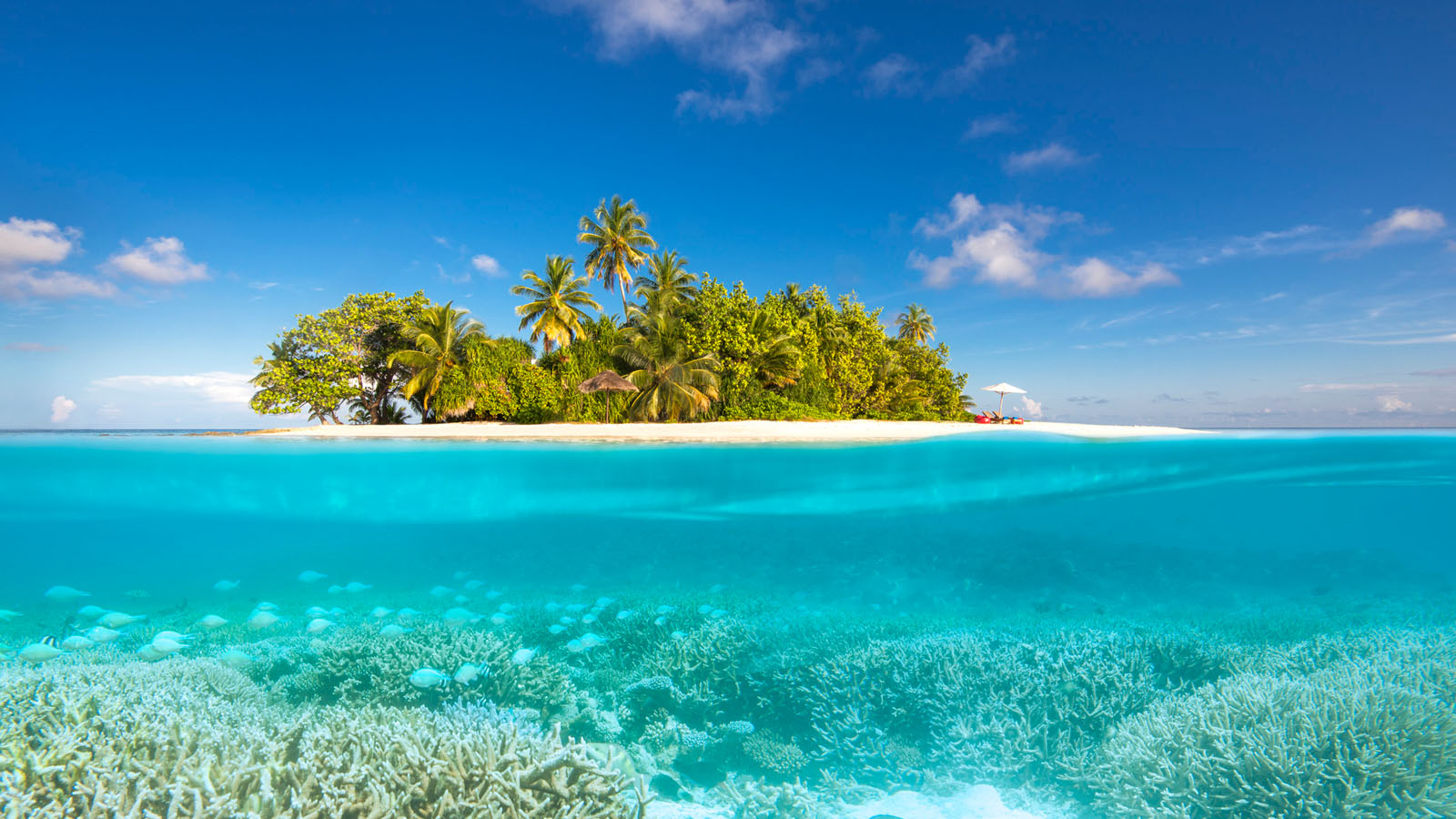 W Maldives W Maldives