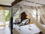 Dream of Zanzibar Dream of Zanzibar