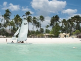 Dream of Zanzibar Dream of Zanzibar
