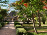 Dream of Zanzibar Dream of Zanzibar