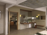 Cocoon Suite Cocoon Suite