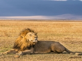 Ngorongoro Természetvédelmi Terület Ngorongoro Természetvédelmi Terület