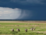 Lake Manyara Nemzeti Park Lake Manyara Nemzeti Park
