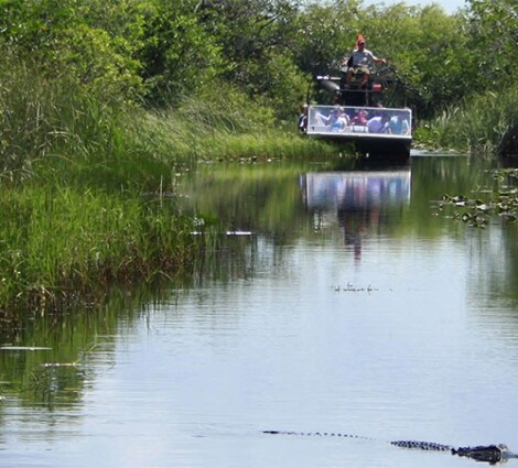 Mocsárjáró túra a floridai Everglades-ben
