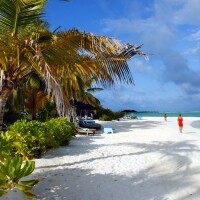 séta a parton <br/>(Maldív-szigetek • LUX* South Ari Atoll (LUX* Maldives))